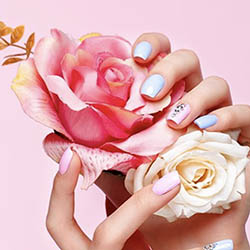 Bio Seaweed Gel (BSG)