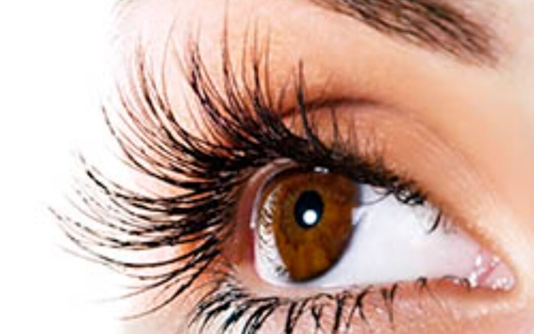 LASH TINTS