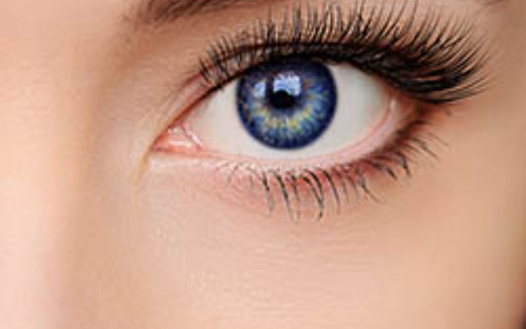 LASH LIFT